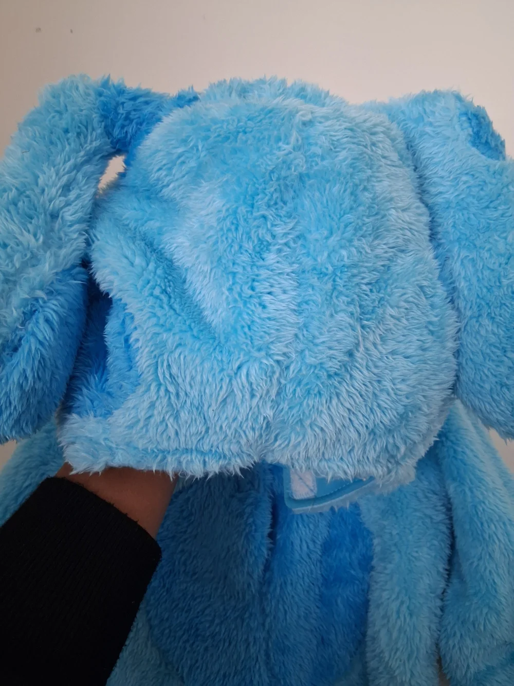 Nickelodeon Blues Clues Costume